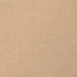 ADDICTION THE SINGLE EYESHADOW CREAM (REFILL) Naked Sheer