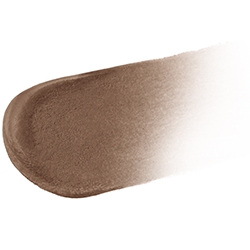 Decorte Eye Glow Gem Skin Shadow Silky Matte