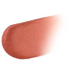 Decorte Eye Glow Gem Skin Shadow Silky Matte