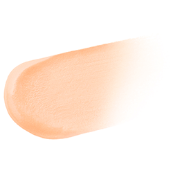 Decorte Eye Glow Gem Skin Shadow Silky Matte