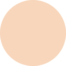 Decorte The Skin Powder Foundation Air Refill