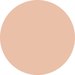 Decorte The Skin Powder Foundation Air Refill
