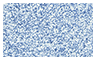 Elegance Ruzzle Eye Color