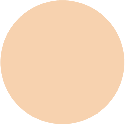 Decorte The Skin Liquid Foundation Low