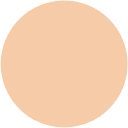Decorte The Skin Liquid Foundation Low