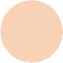 Decorte The Skin Liquid Foundation Low