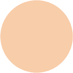 Decorte The Skin Liquid Foundation Low