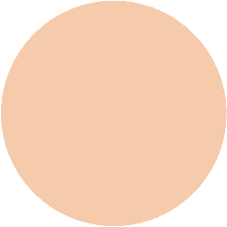Decorte The Skin Liquid Foundation Low