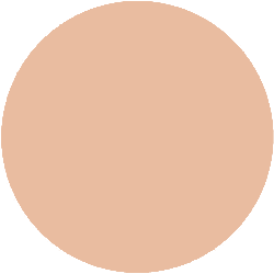 Decorte The Skin Liquid Foundation Low