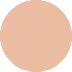 Decorte AQ Skin Forming Powder Foundation
