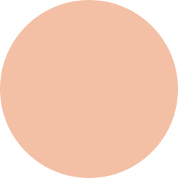 Decorte AQ Skin Forming Powder Foundation