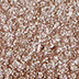 RMK Infinite Single Eyes