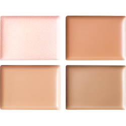 Decorte Tone Perfecting Palette