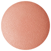 DECORTE Powder Blush Set