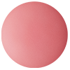 DECORTE Powder Blush Set