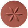 DECORTÉ AQ  EYE SHADOW