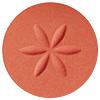 DECORTÉ AQ  EYE SHADOW