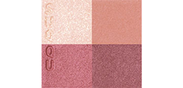 Suqqu Signature Color Eyes