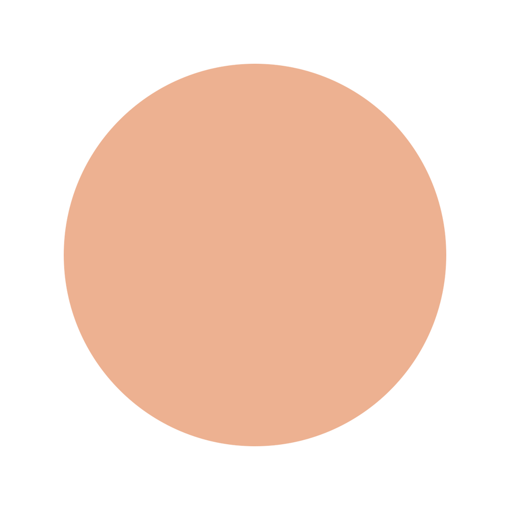 Albion Primp Powder Rest Refill