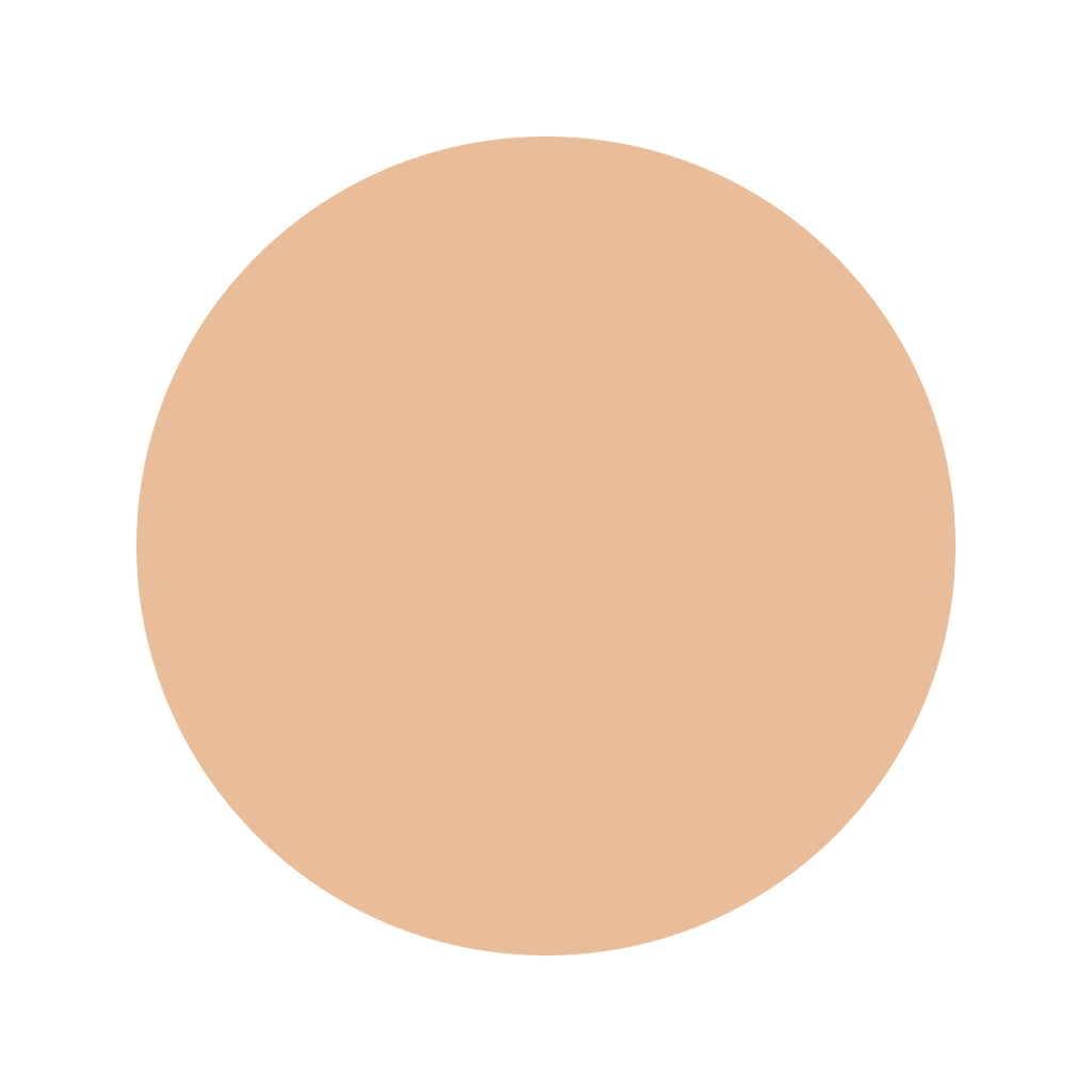 Albion Primp Powder Rest Refill