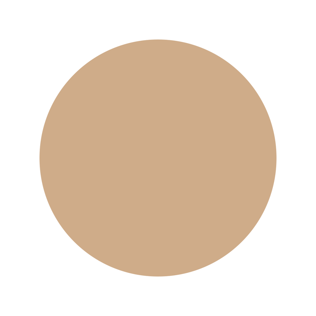 Albion Primp Powder Rest Refill