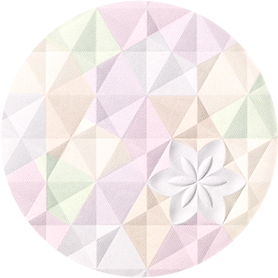 Decorte AQ Aura Reflector Refill