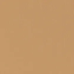 ADDICTION THE SINGLE EYESHADOW MATTE (REFILL) Matte