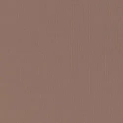 ADDICTION THE SINGLE EYESHADOW MATTE (REFILL) Matte