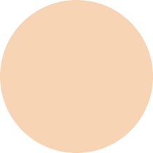 Decorte The Skin Powder Foundation Air Refill