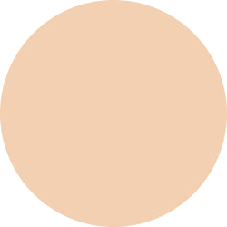 Decorte The Skin Powder Foundation Air Refill