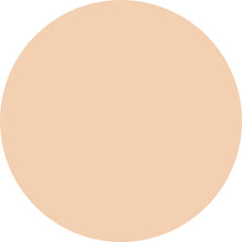 Decorte The Skin Powder Foundation Air Refill