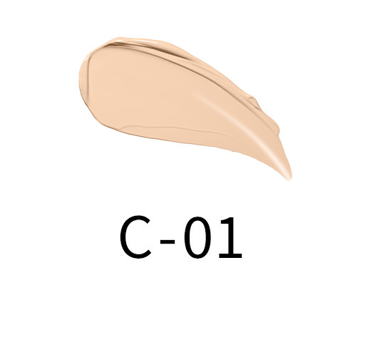 Suqqu Creamy Cover Concealer NEW
