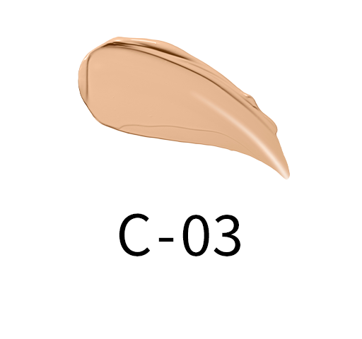 Suqqu Creamy Cover Concealer NEW