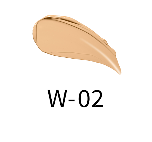 Suqqu Creamy Cover Concealer NEW