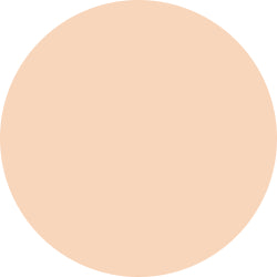 Decorte The Skin Powder Foundation Air Refill