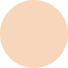 Decorte The Skin Powder Foundation Air Refill