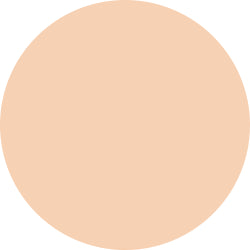 Decorte The Skin Powder Foundation Air Refill