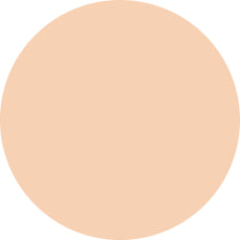 Decorte The Skin Powder Foundation Air Refill