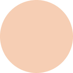 Decorte The Skin Powder Foundation Air Refill