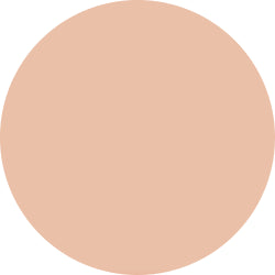 Decorte The Skin Powder Foundation Air Refill