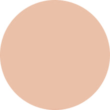 Decorte The Skin Powder Foundation Air Refill