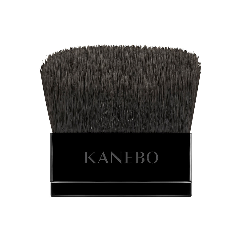 Kanebo Makeup brushes