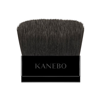 Kanebo Makeup brushes