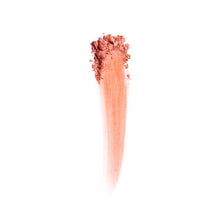 Shu Uemura Face Color (Refill)